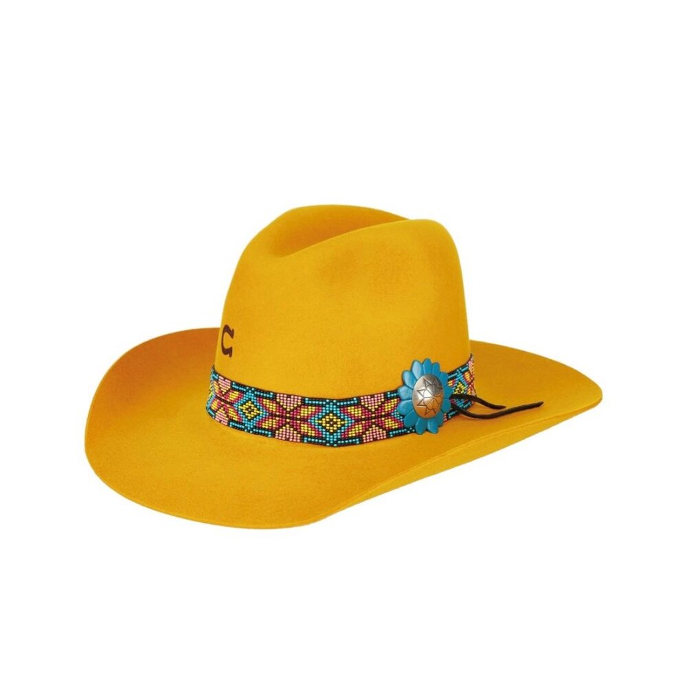 Charlie 1 Horse Rambler Gold Digger Felt NWT